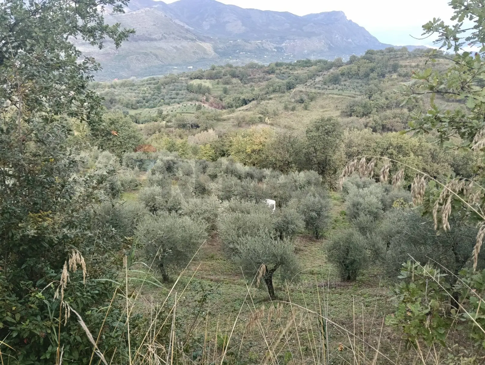 Terreno in Vendita a Minturno