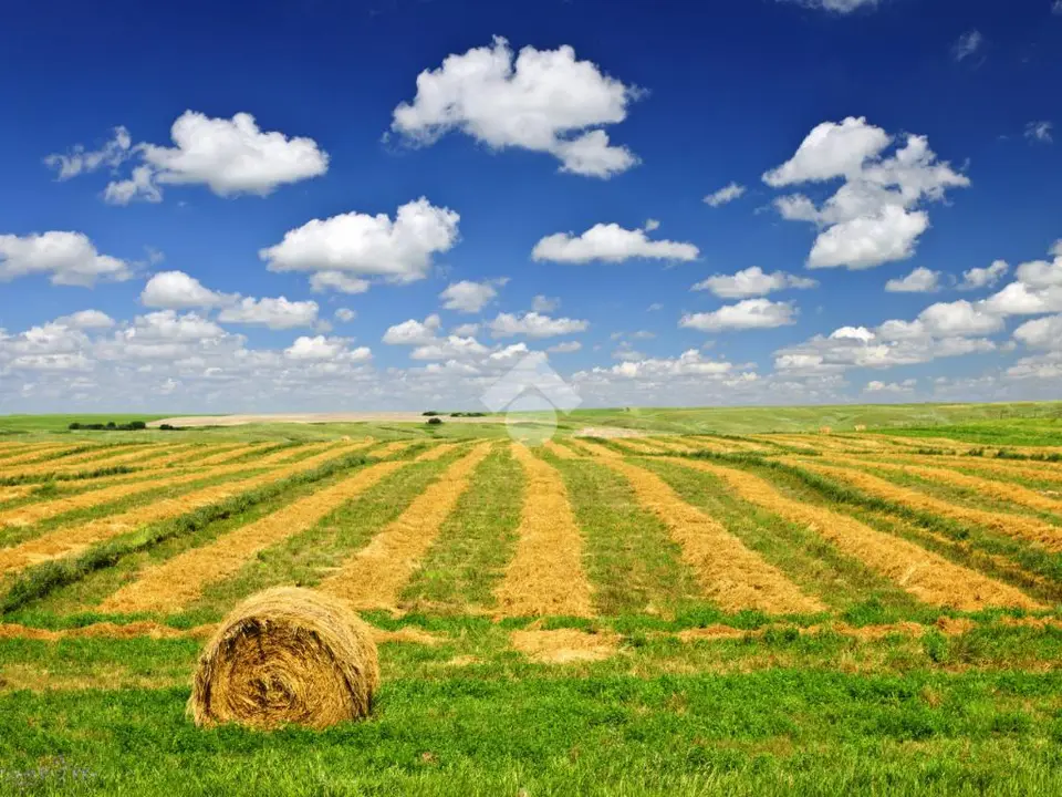 Ter. agricolo in vendita a Baone