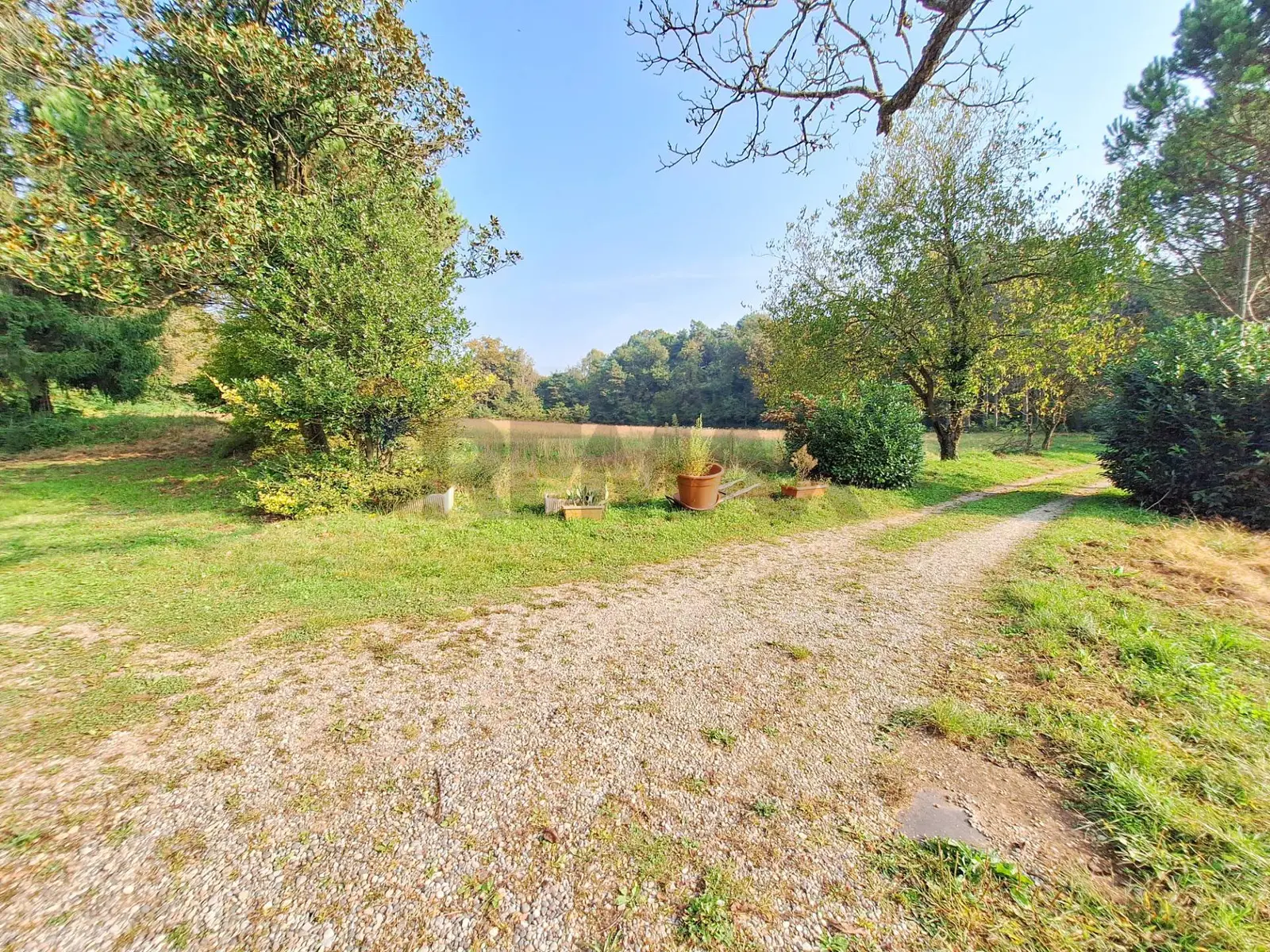 Appartamento in Vendita a Locate Varesino