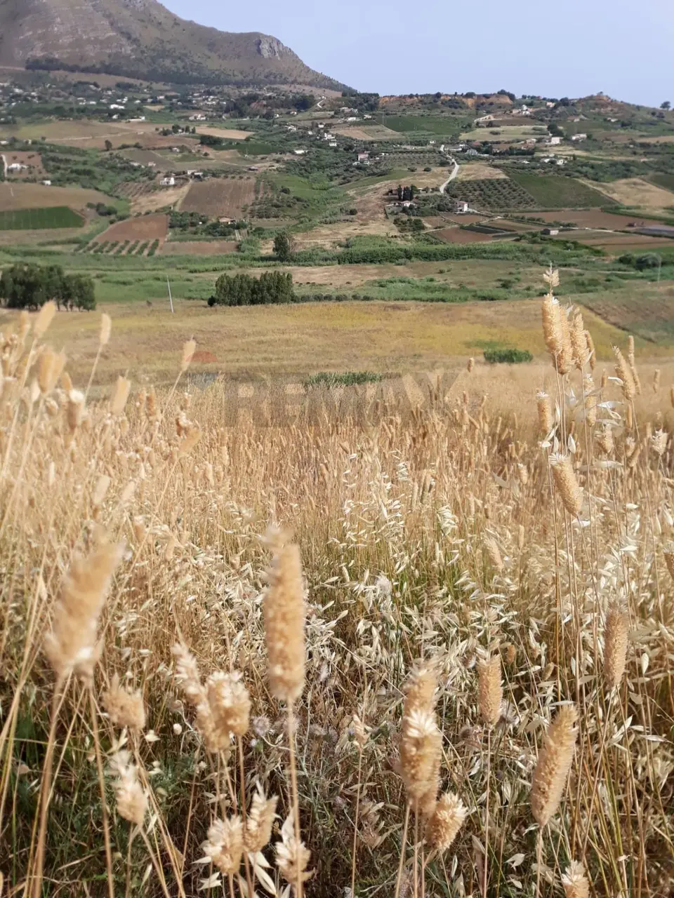 Terreno in Vendita a Calatafimi-Segesta