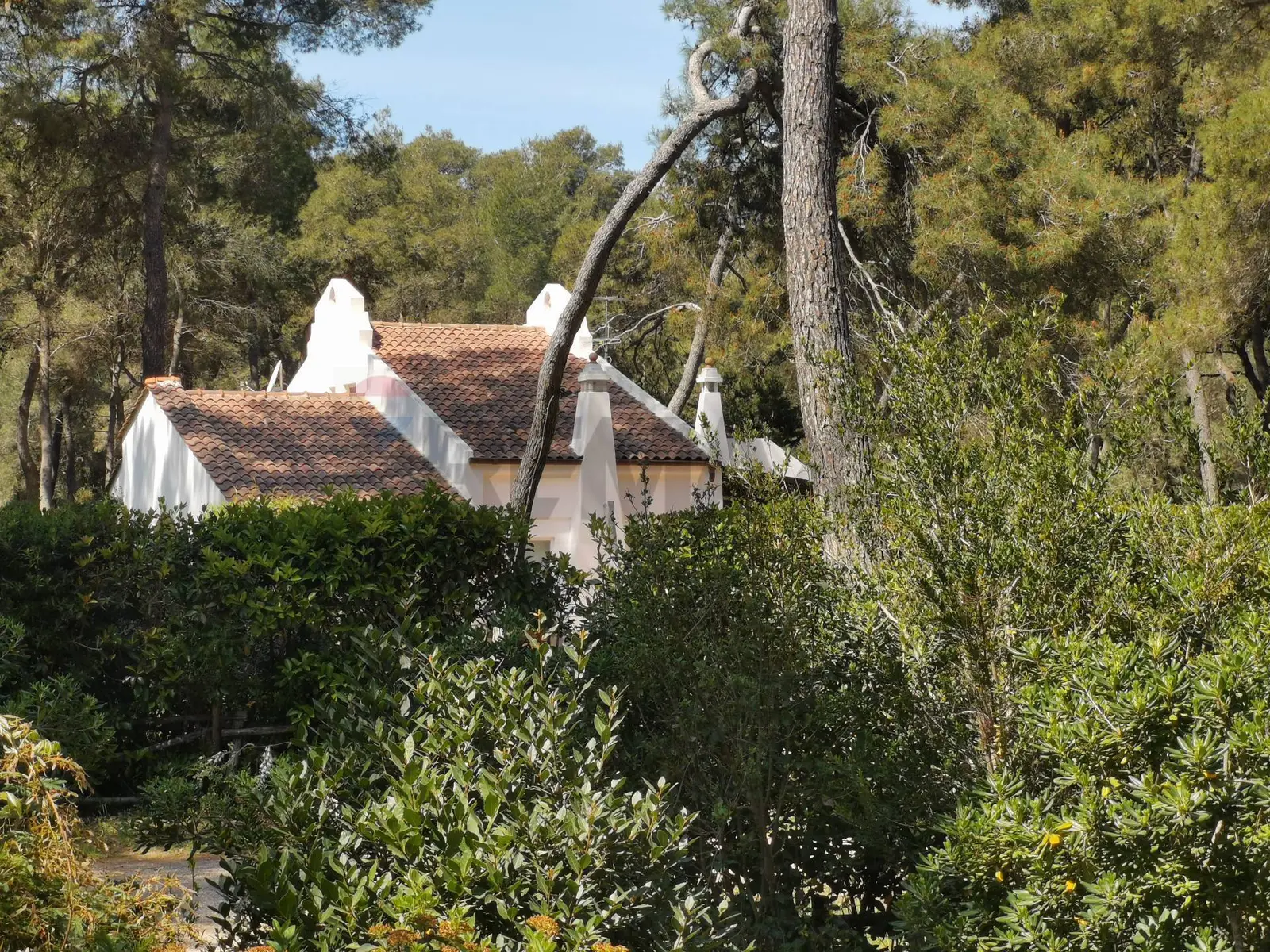Villa singola in Vendita a Castellaneta