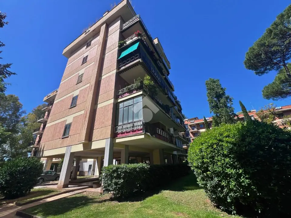Monolocale in affitto a Roma