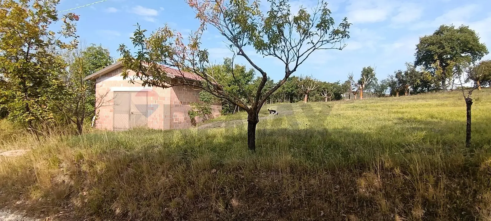 Terreno in Vendita a Gualdo Tadino