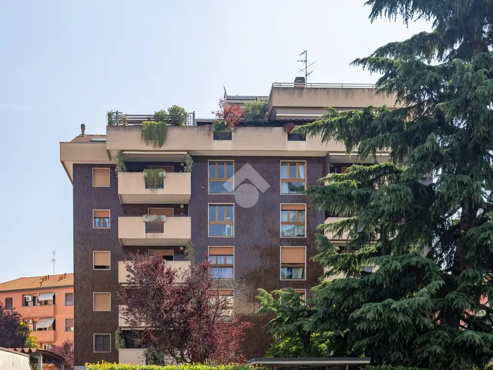 Trilocale in affitto a Milano