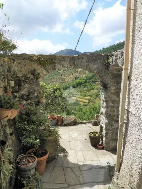 Casa indipendente in vendita a Ne
