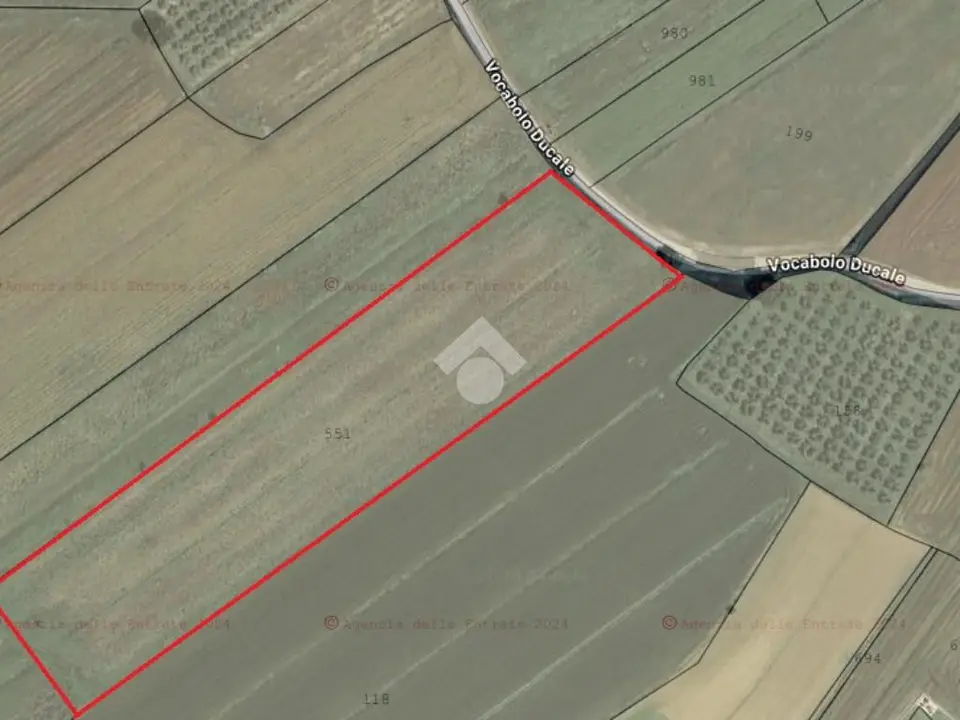 Ter. agricolo in vendita a Cannara