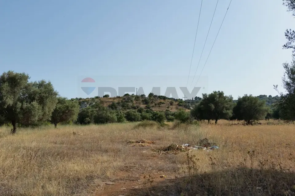 Terreno in Vendita a Noto