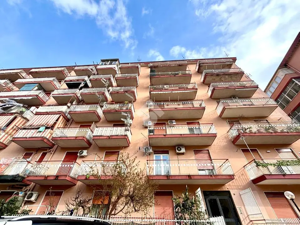 Trilocale in affitto a Palermo
