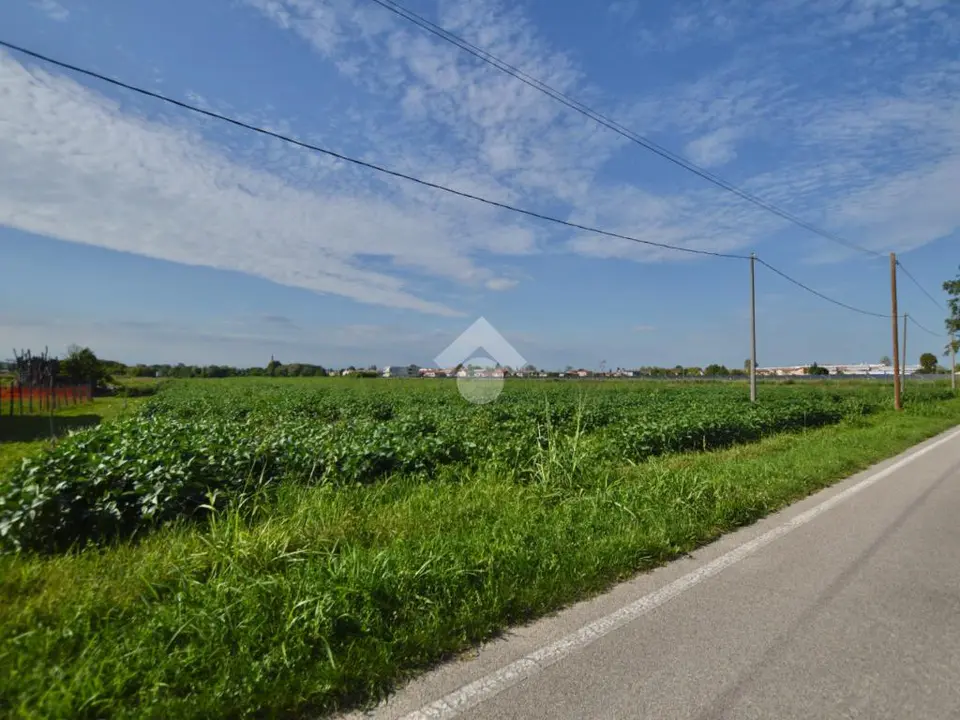 Ter. agricolo in vendita a San Donà Di Piave