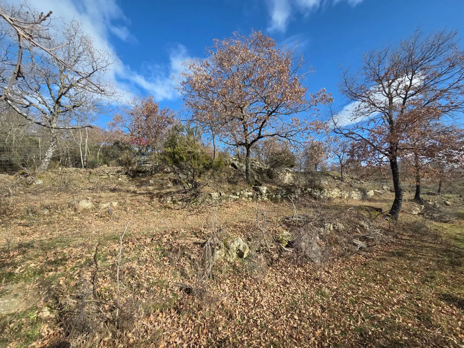 Terreno Edificabile in Vendita a Loro Ciuffenna