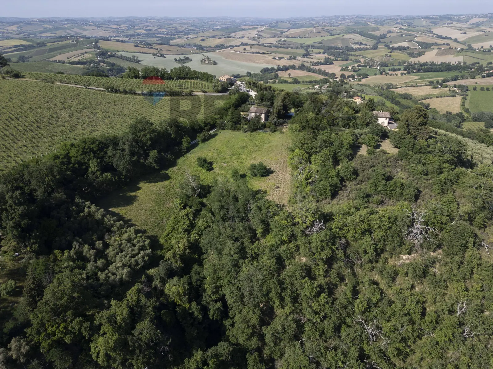 Terreno in Vendita a Montecarotto