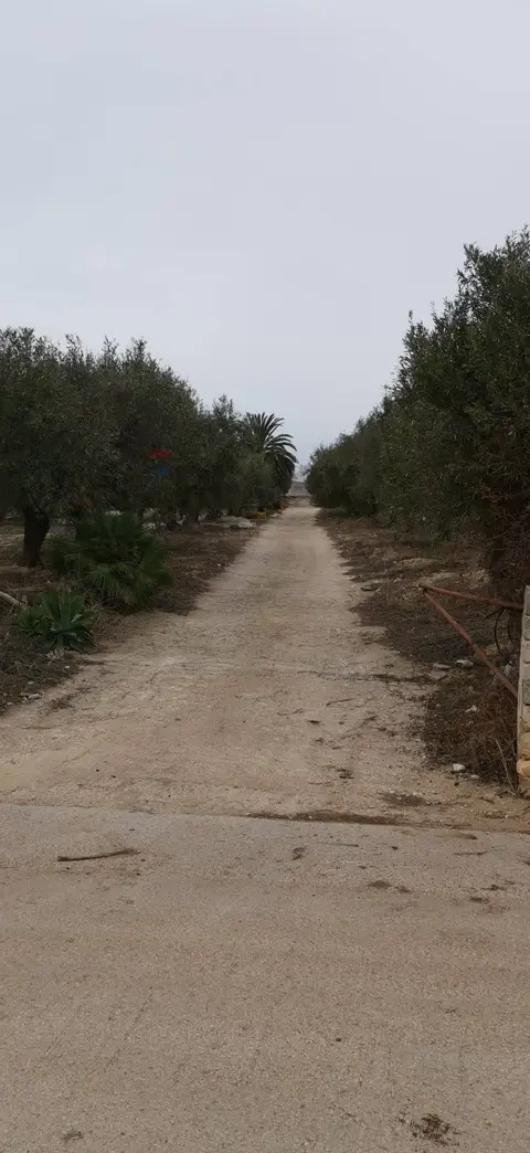 Terreno in Affitto a Scicli