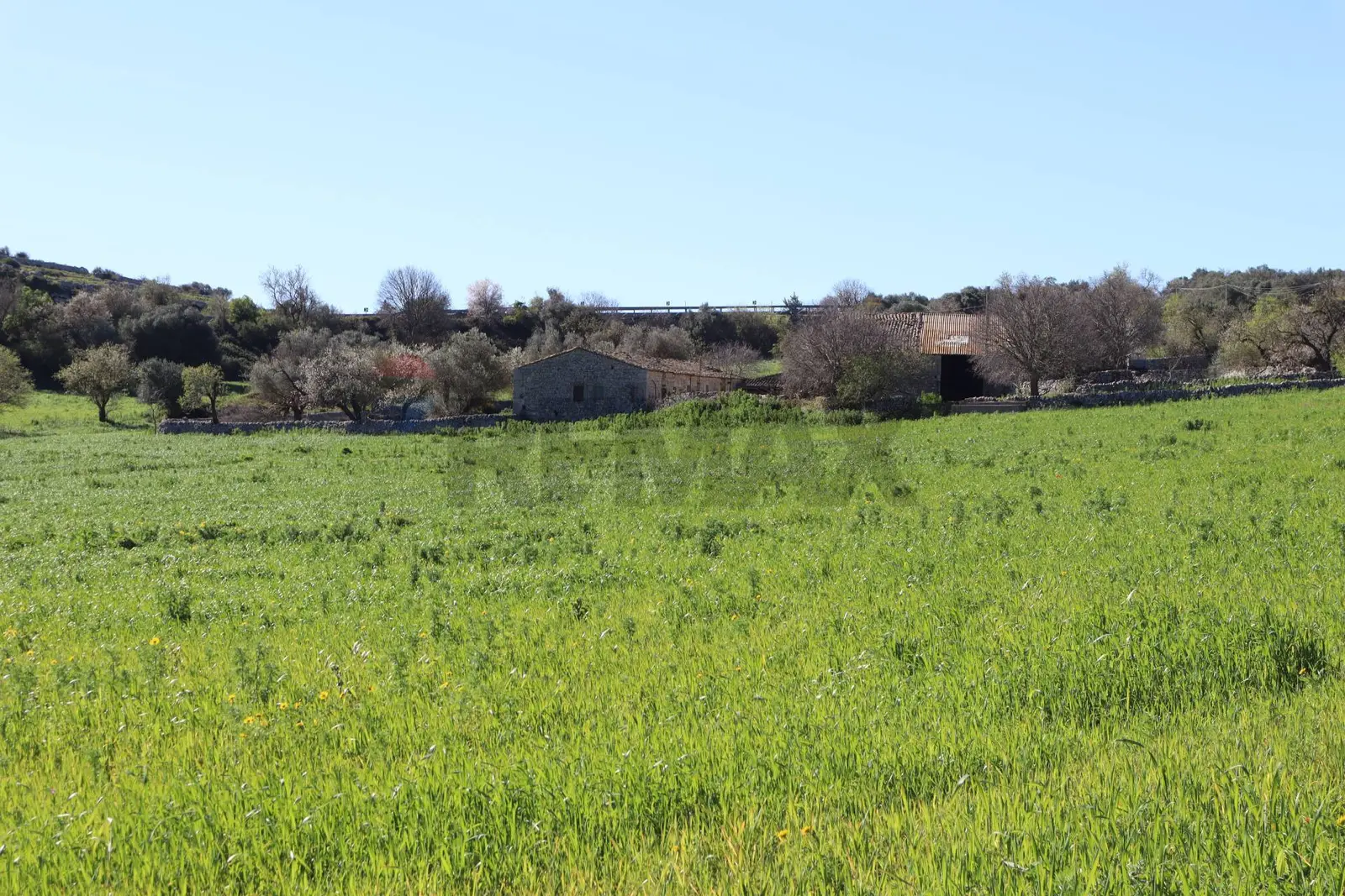 Terreno in Vendita a Ragusa
