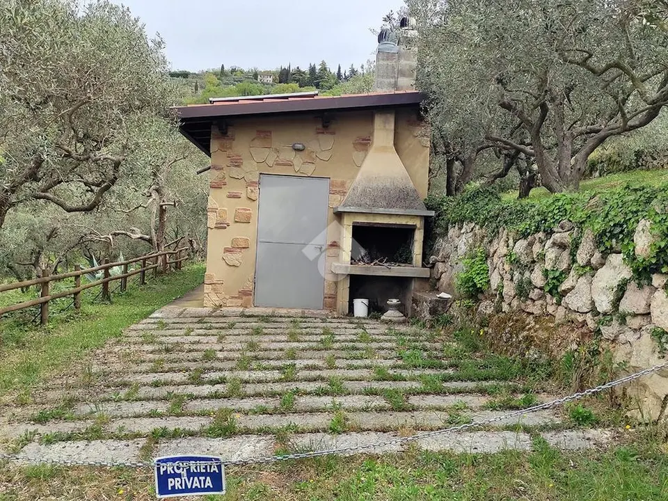 Ter. agricolo in vendita a Verona