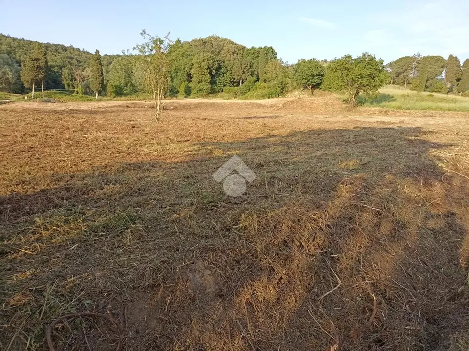 Ter. residenziale in vendita a Fauglia