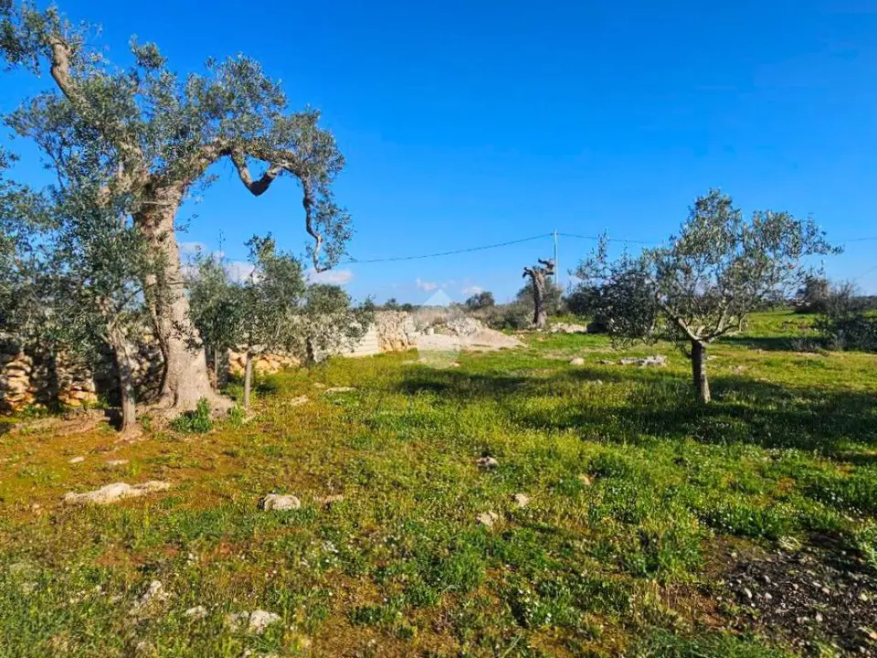 Ter. agricolo in vendita a Nardò