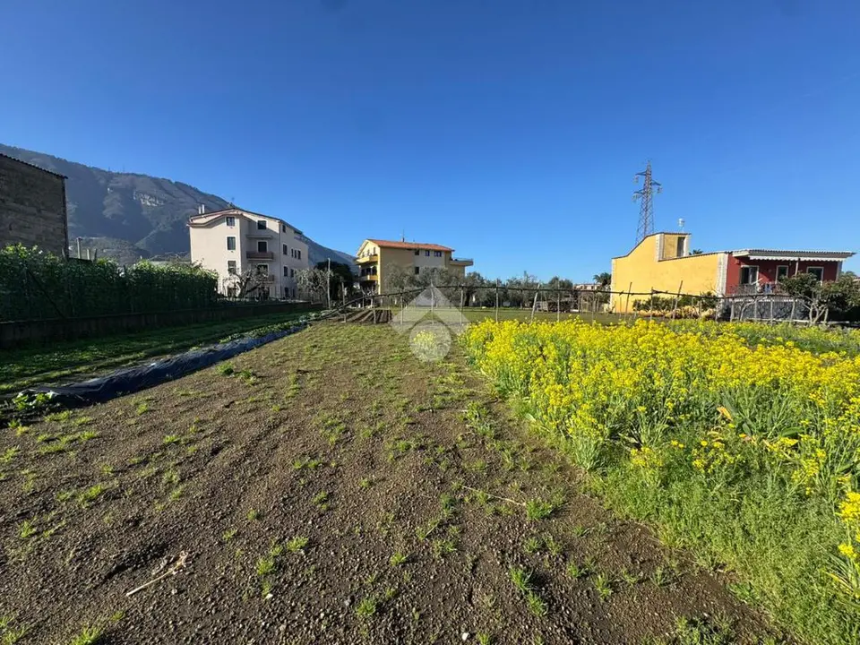 Ter. agricolo in vendita a Gragnano