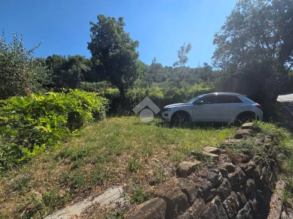 Ter. agricolo in vendita a Muggia