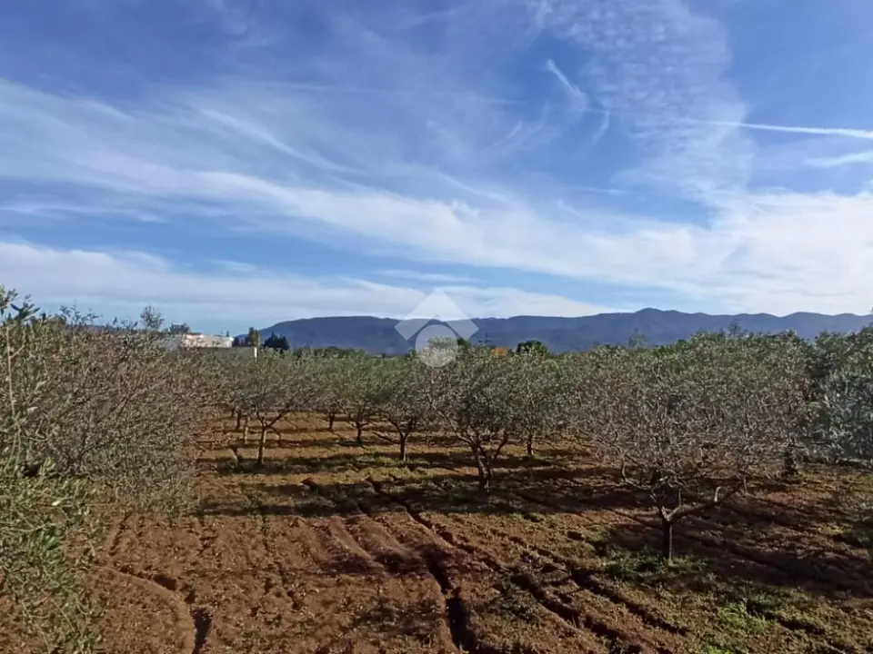 Ter. agricolo in vendita a Quartu Sant'Elena