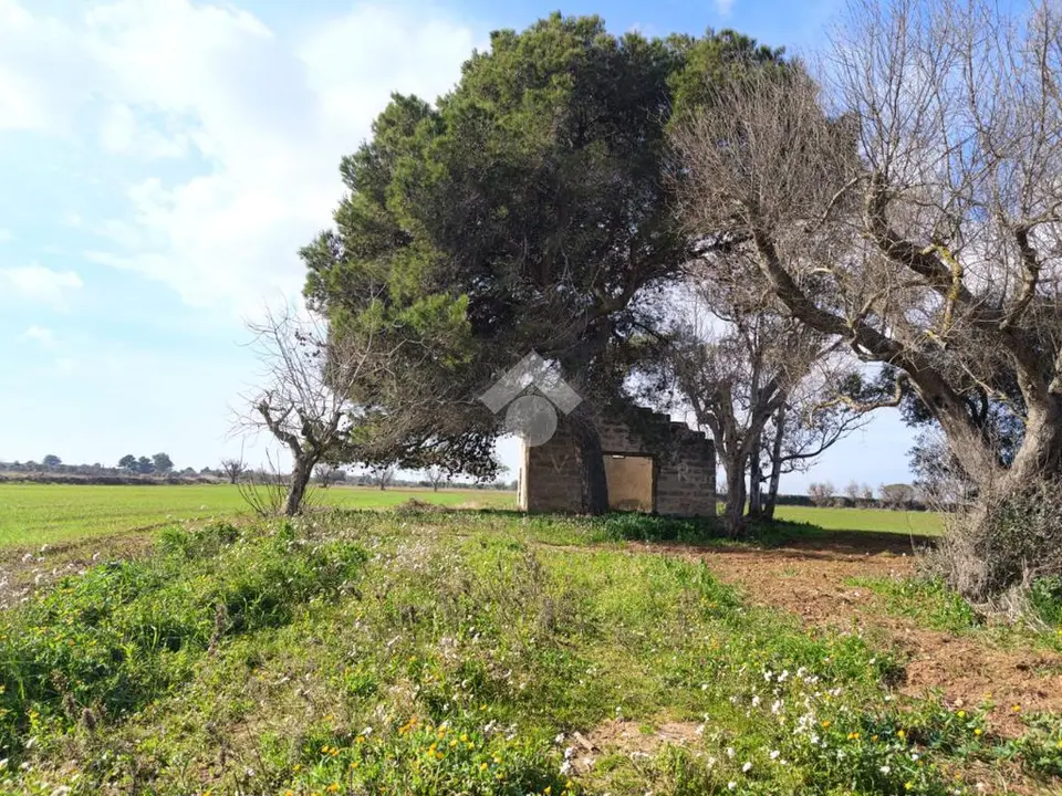 Casa di corte in vendita a Nardò