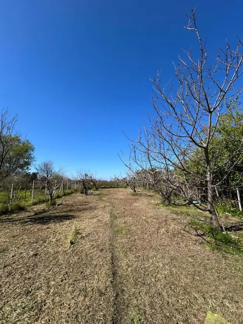Terreno in Via Del Mare 00, Scalea (CS)