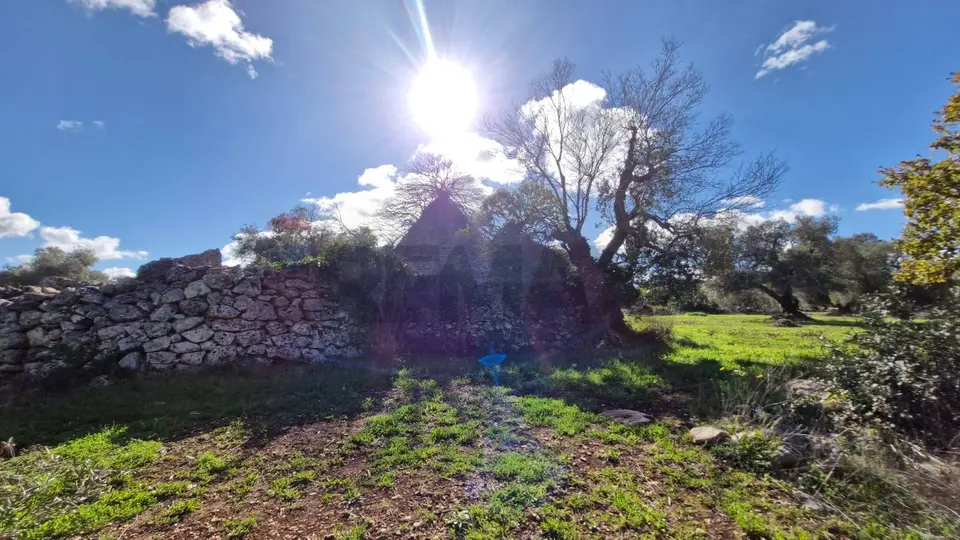 Baita/Chalet/Trullo in Vendita a Ceglie Messapica
