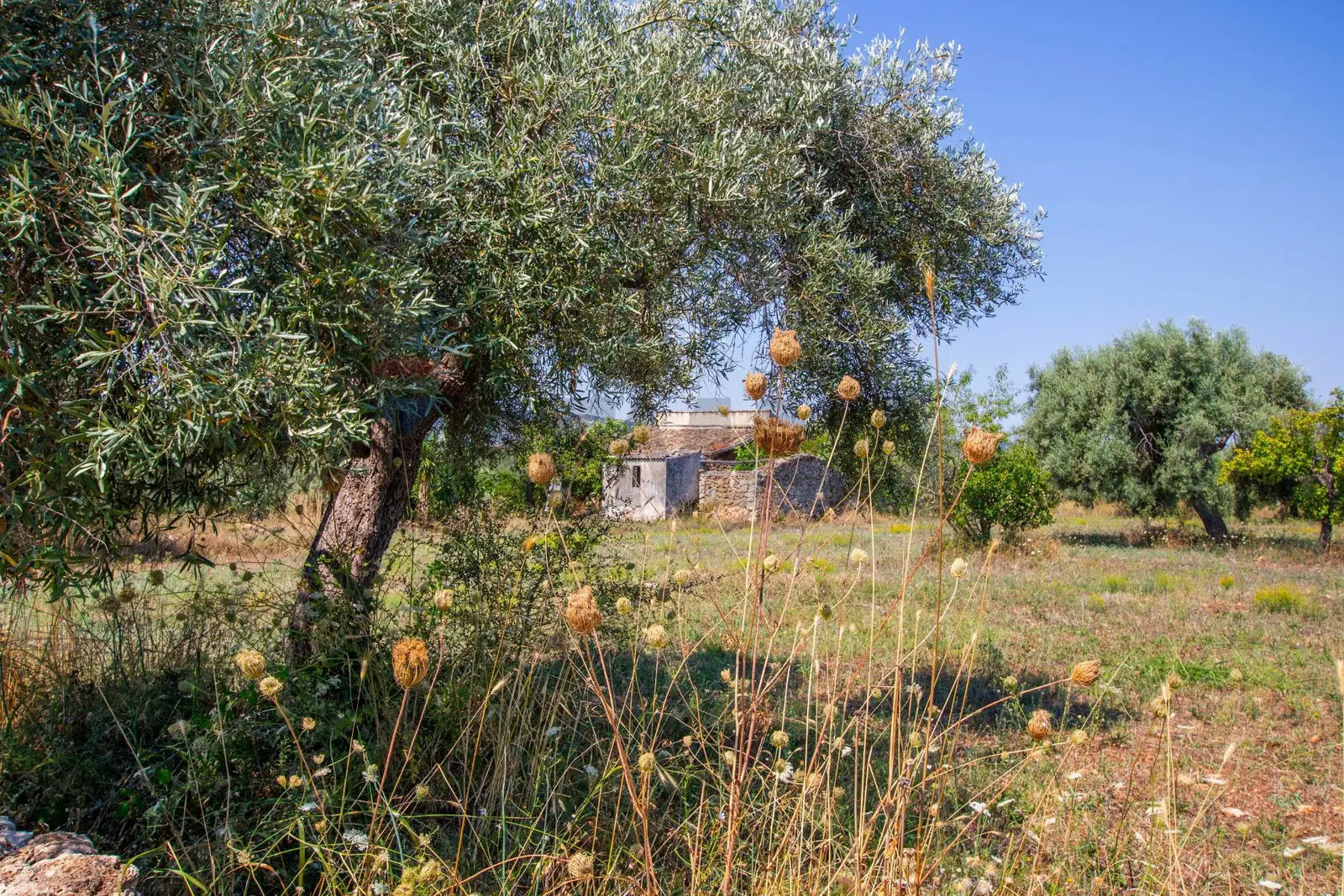 Terreno in Vendita a Canicattini Bagni