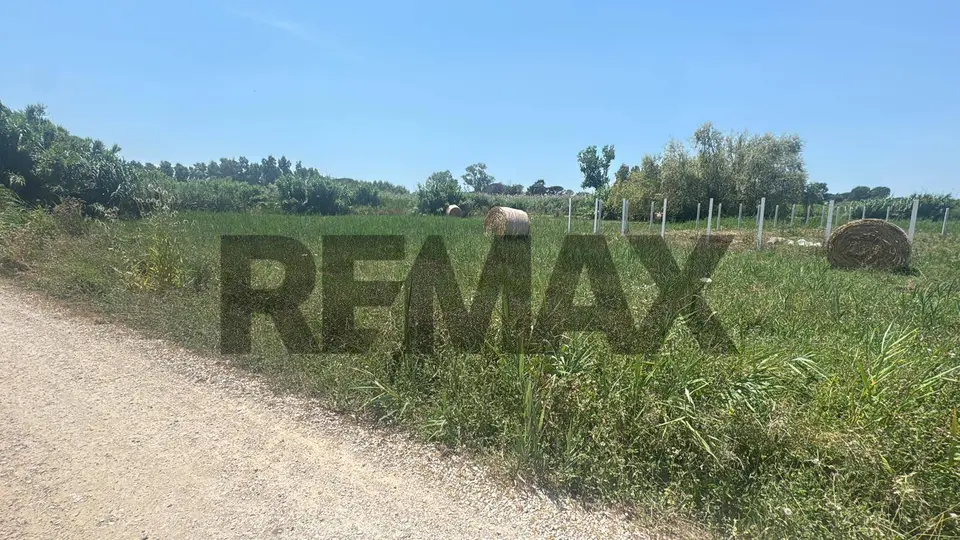Terreno in Vendita a Minturno