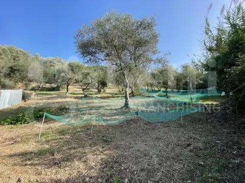 Terreno in contrada Arieste 0, Maierà (CS)