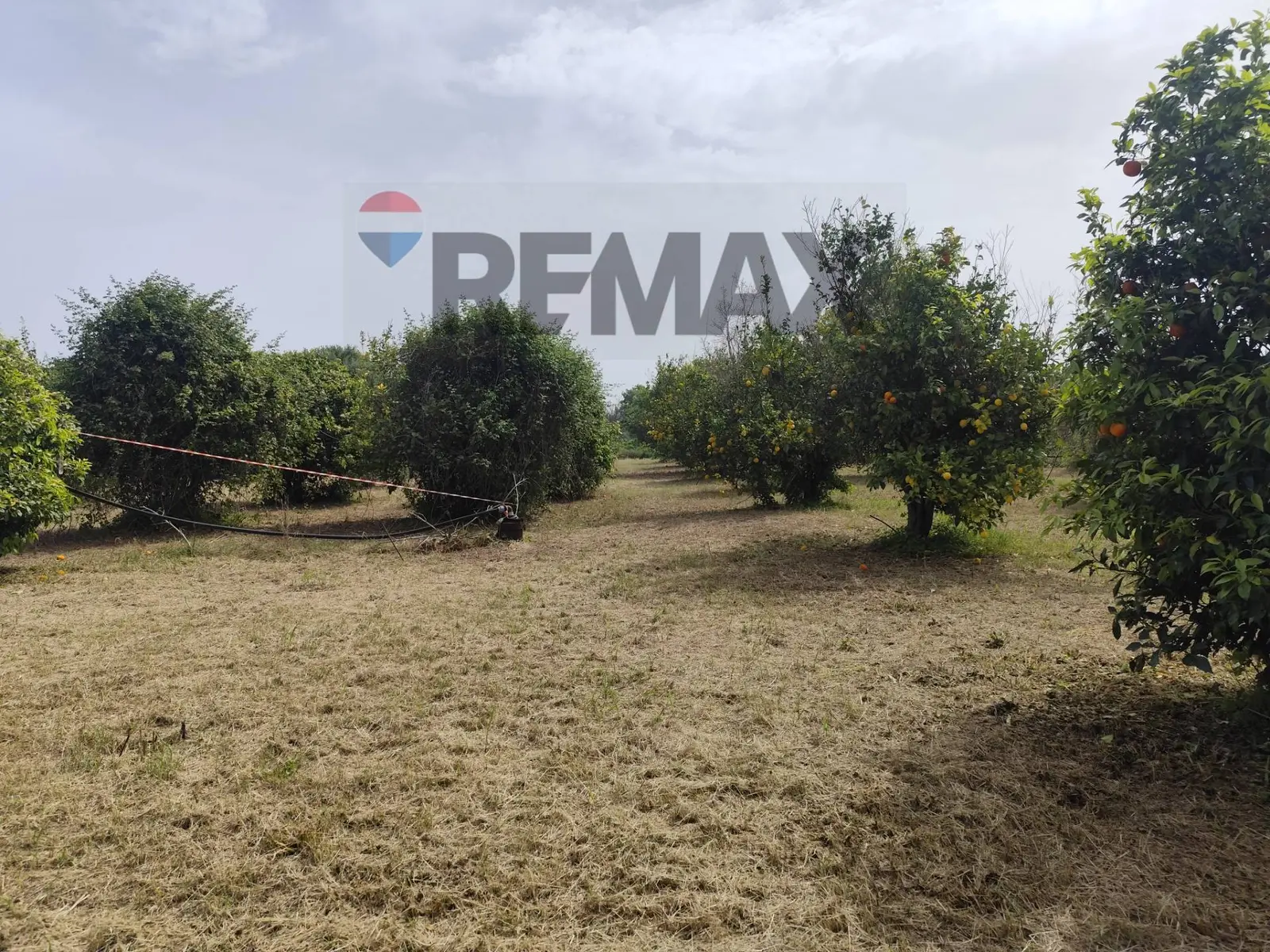 Terreno in Vendita a Siracusa