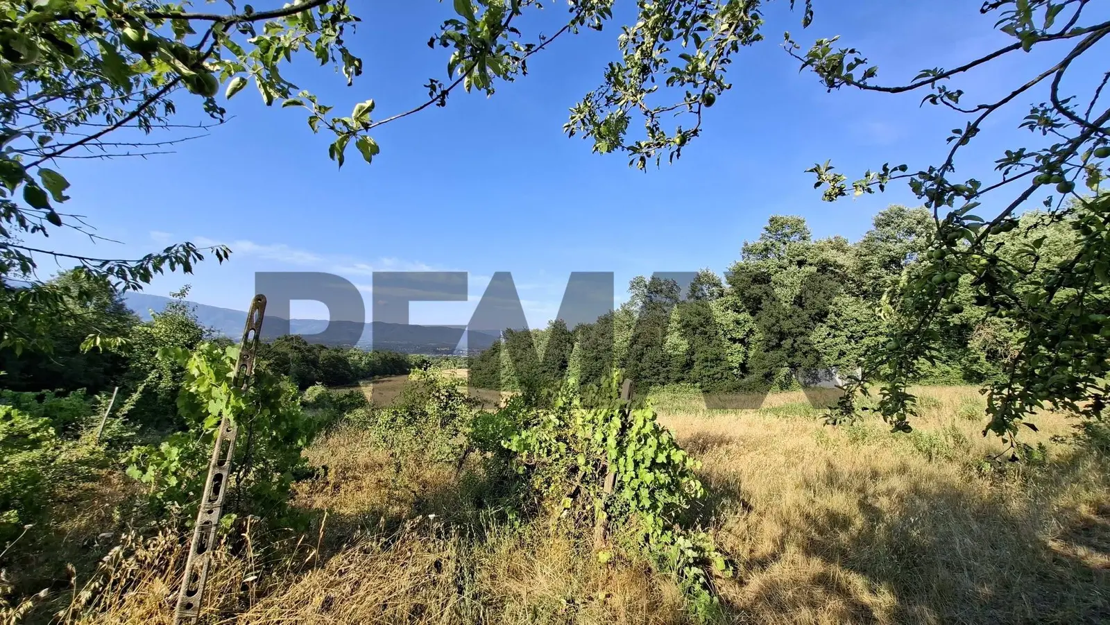 Terreno in Vendita a Laterina Pergine Valdarno
