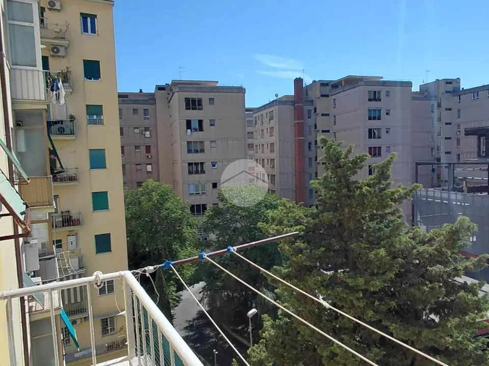 Bilocale in affitto a Roma