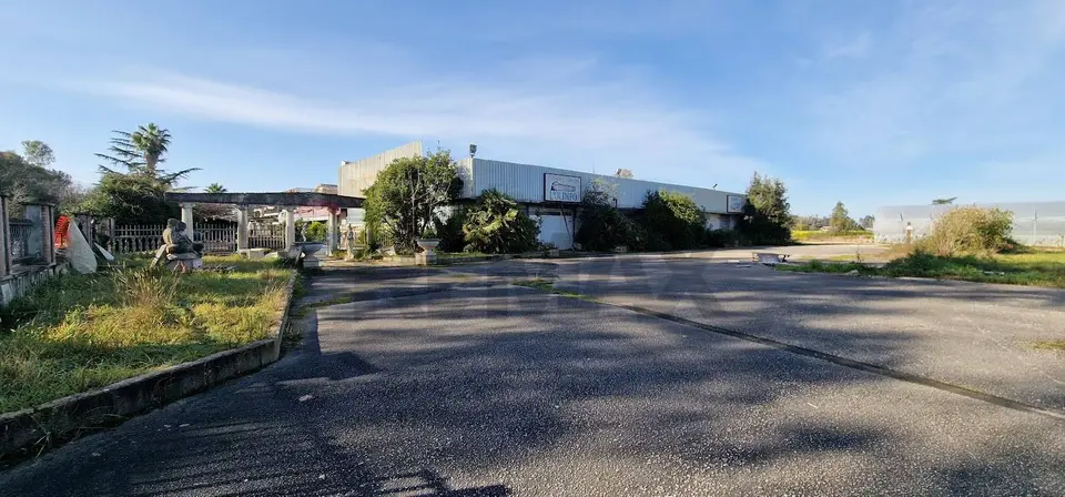 Locale Commerciale in Vendita a Sabaudia