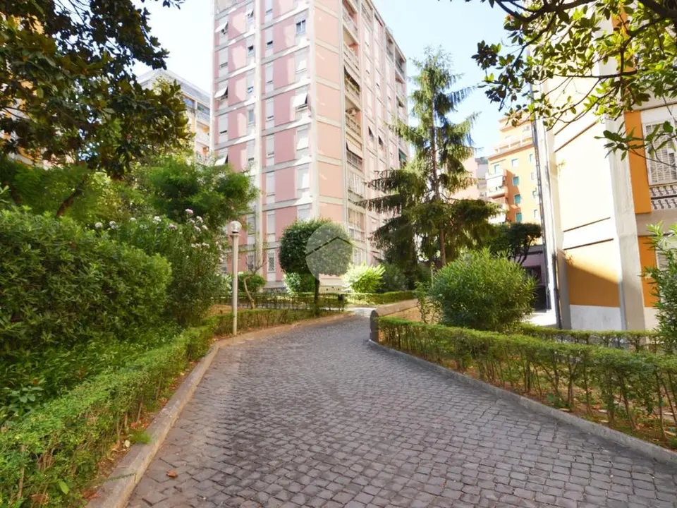 5 locali in affitto a Roma