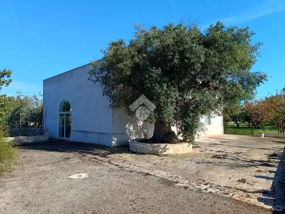 Villa singola in vendita a Polignano A Mare