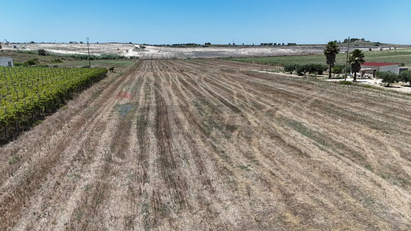 Terreno in Vendita a Noto