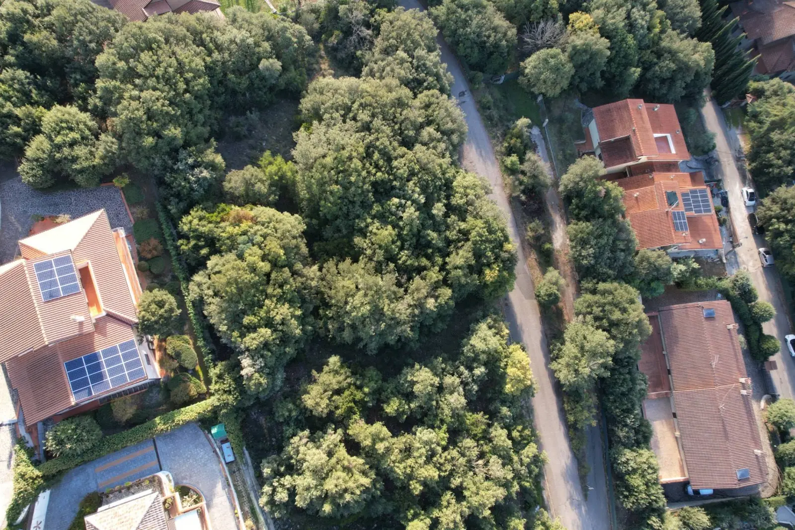 Terreno Edificabile in Vendita a Corciano