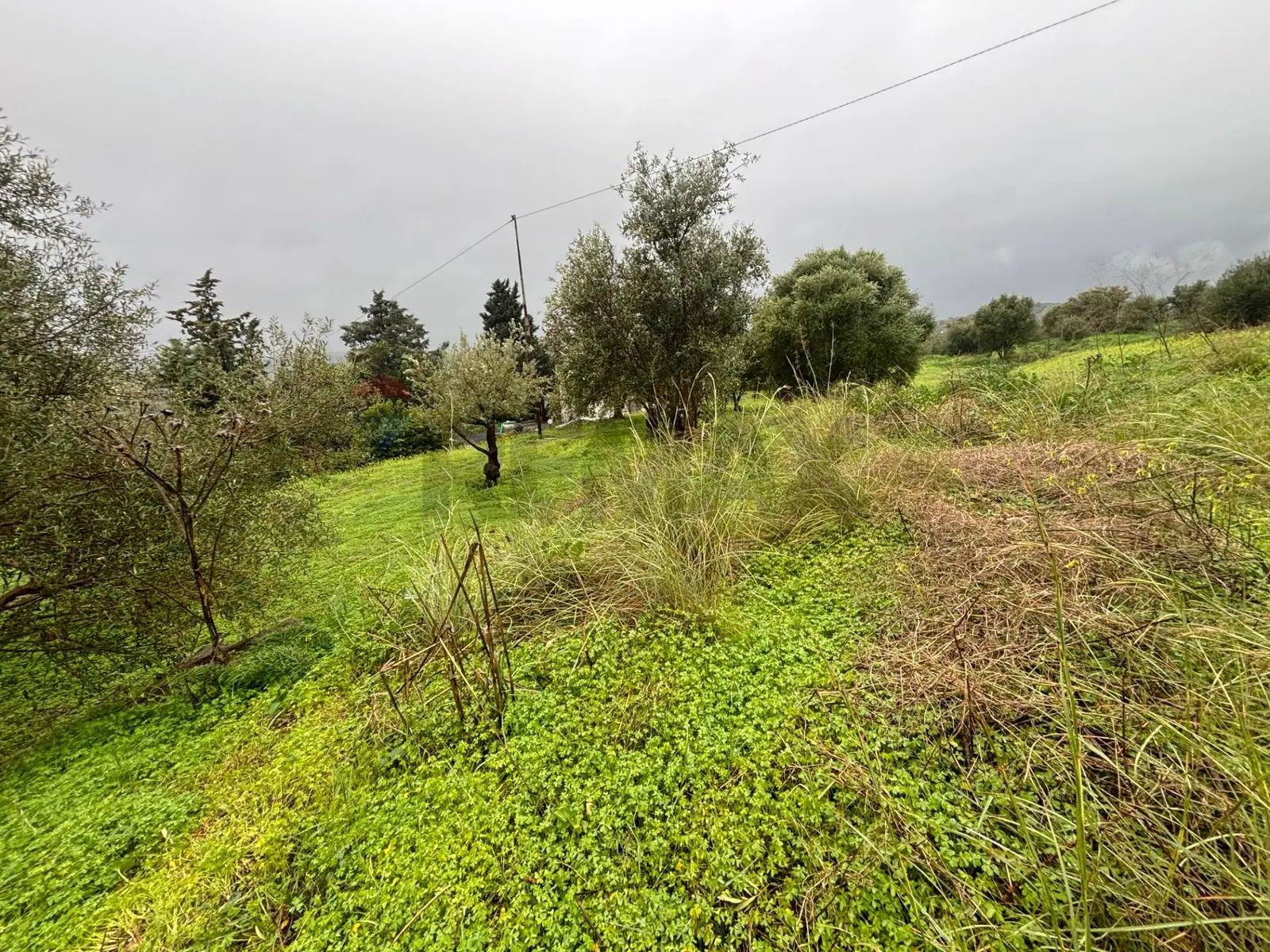 Terreno in Vendita a Carlentini