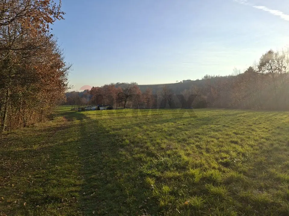 Terreno in Vendita a Fregona