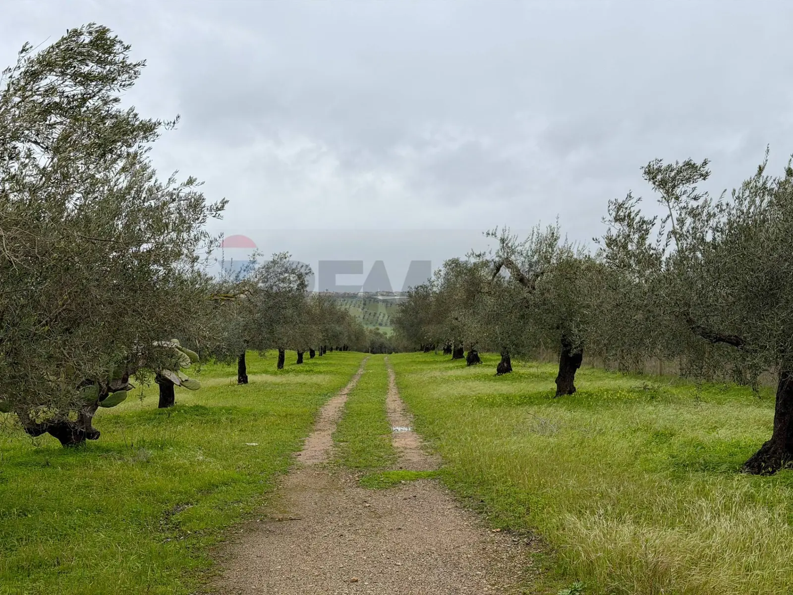Terreno in Vendita a Chiaramonte Gulfi