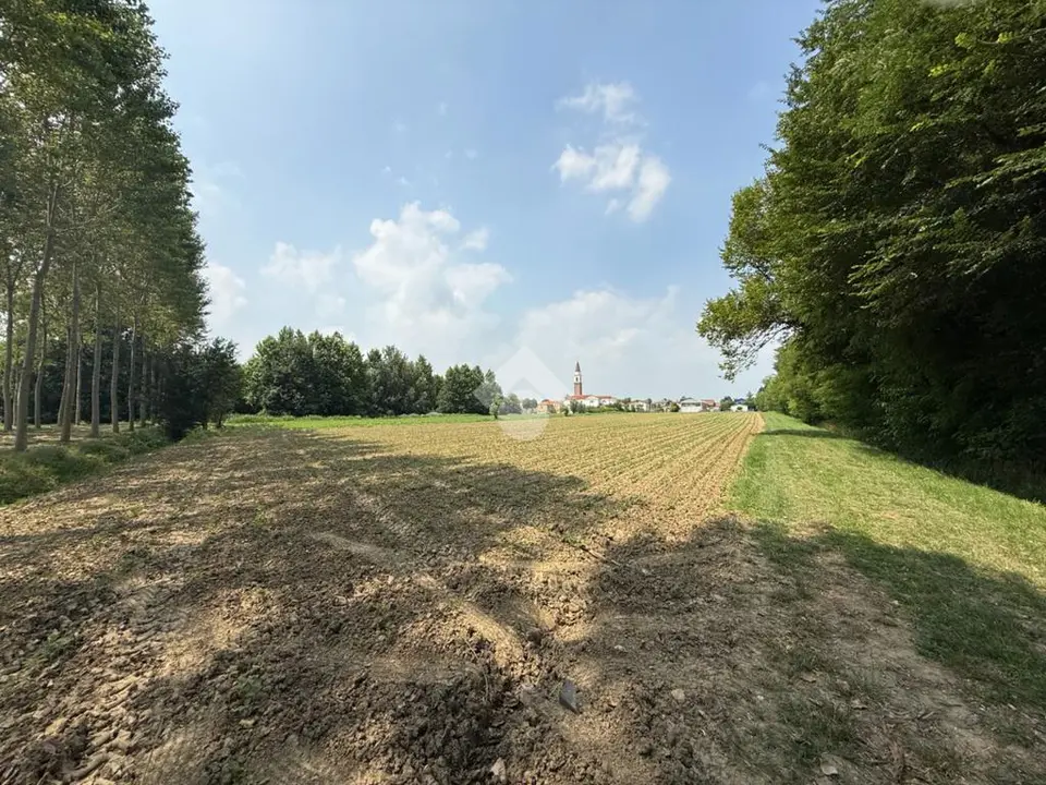 Ter. agricolo in vendita a Scorzè