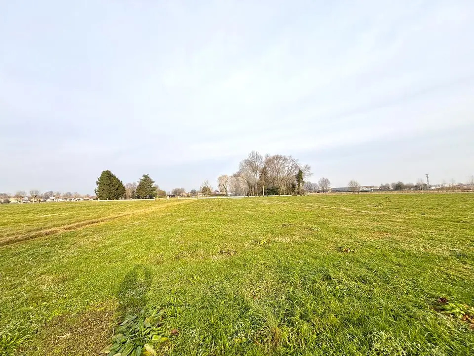Ter. agricolo in vendita a Fontaniva