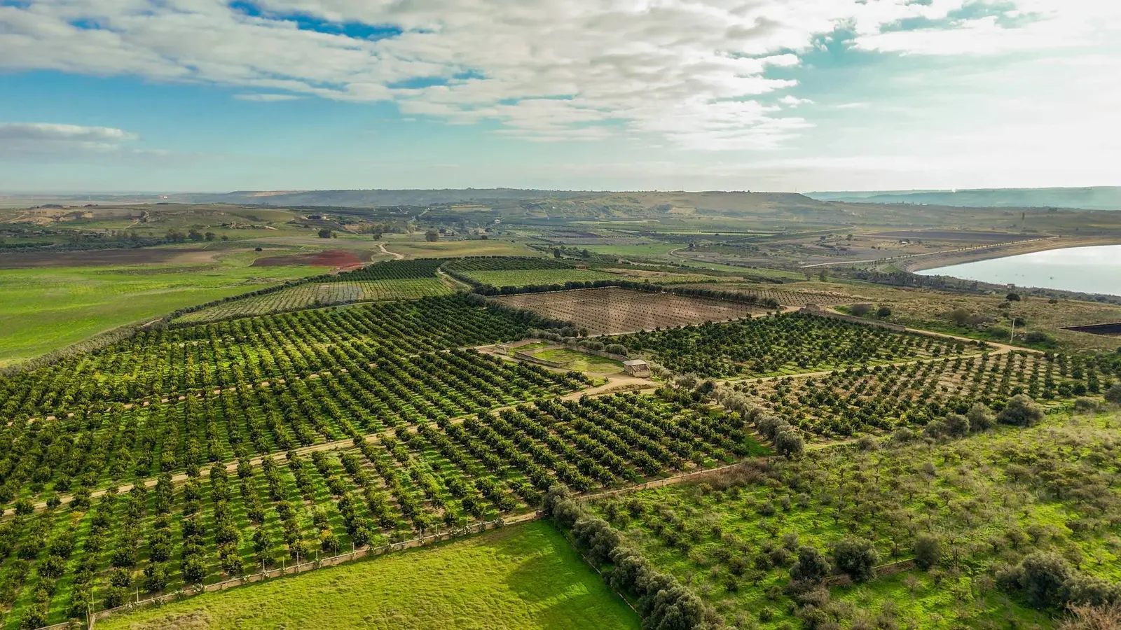 Terreno in Vendita a Lentini