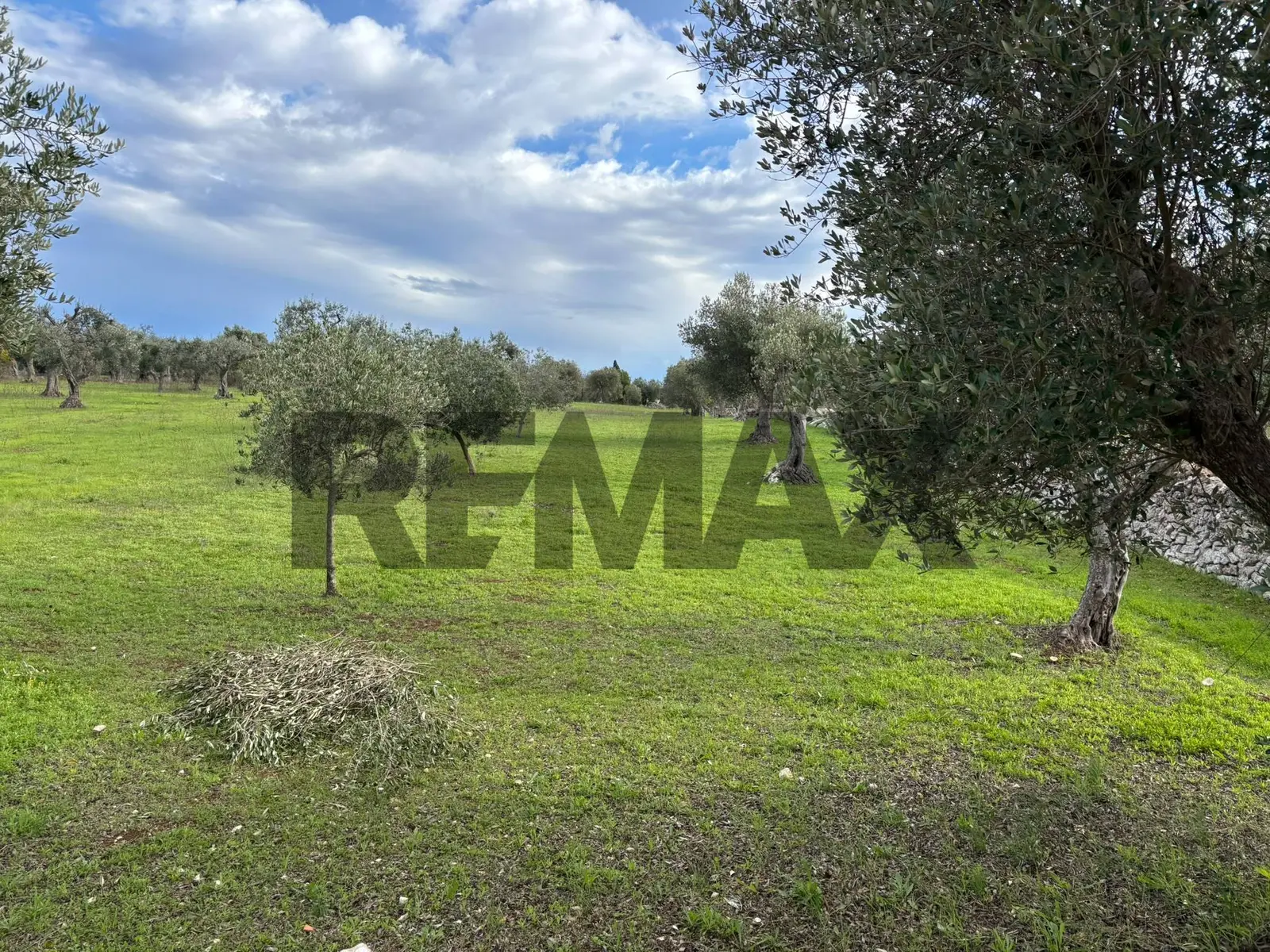 Terreno Edificabile in Vendita a Cisternino
