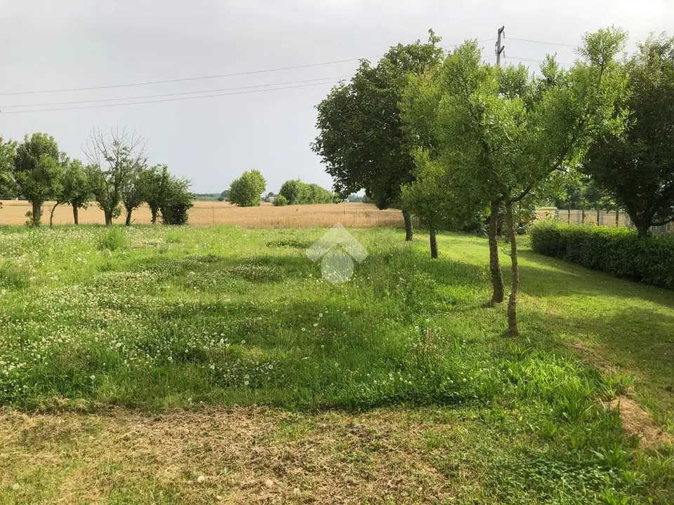 Ter. agricolo in vendita a Pianiga