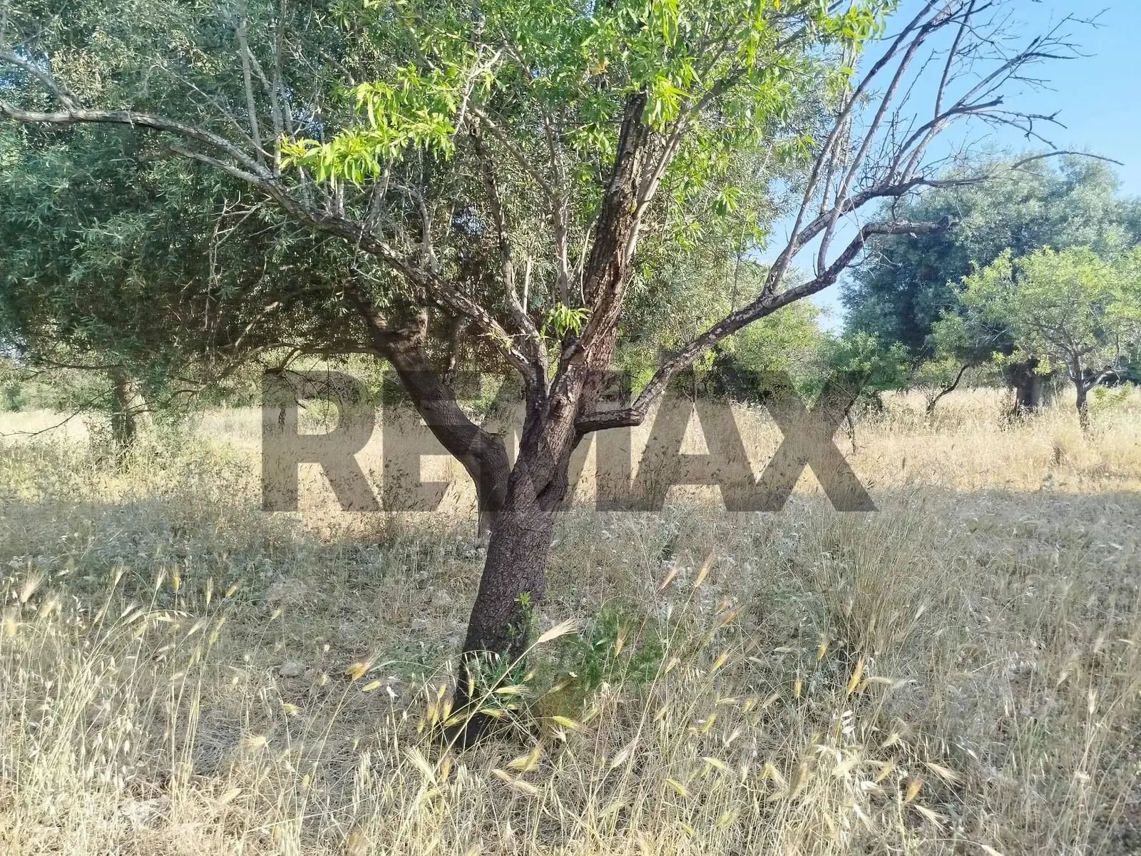 Terreno in Vendita a Canicattini Bagni