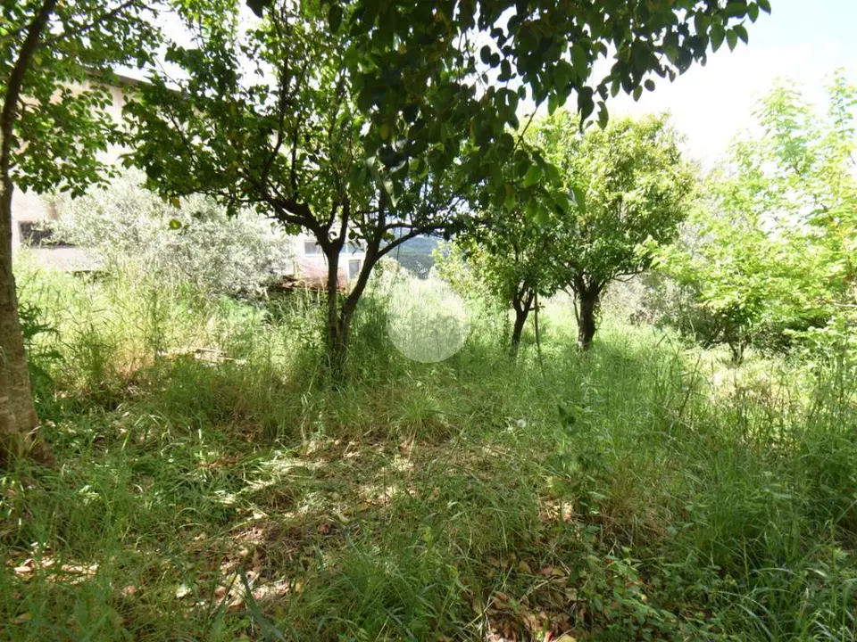 Ter. residenziale in vendita a Torchiara