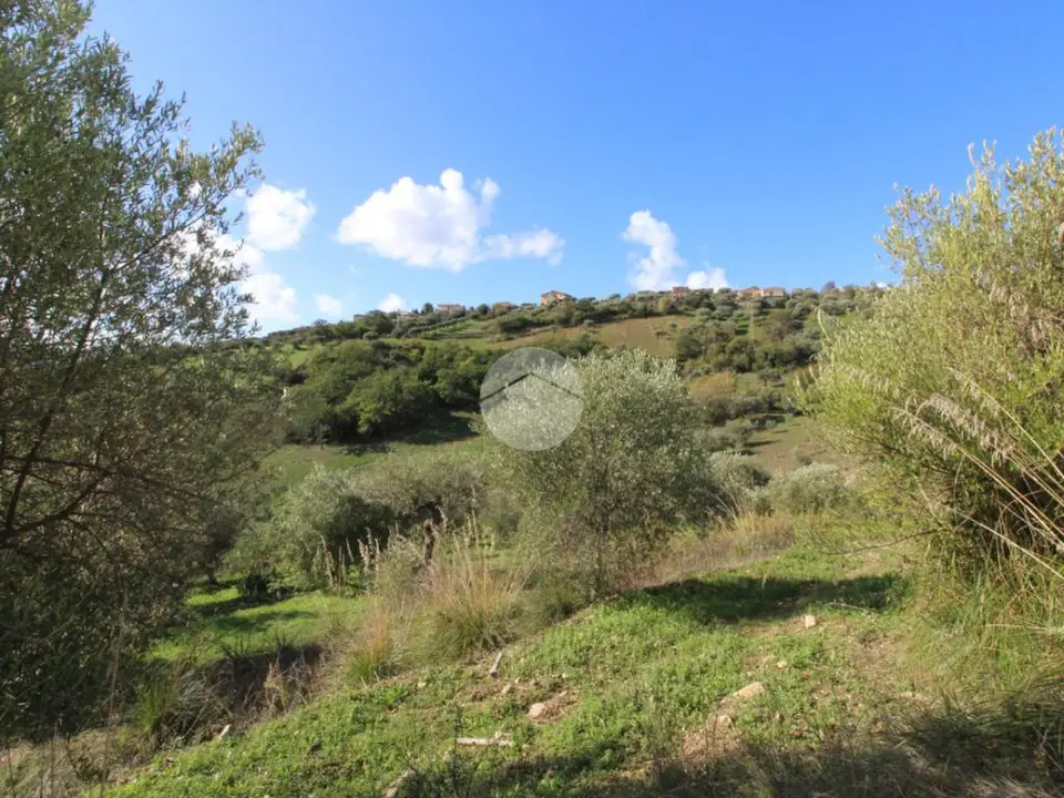 Ter. agricolo in vendita a Agropoli