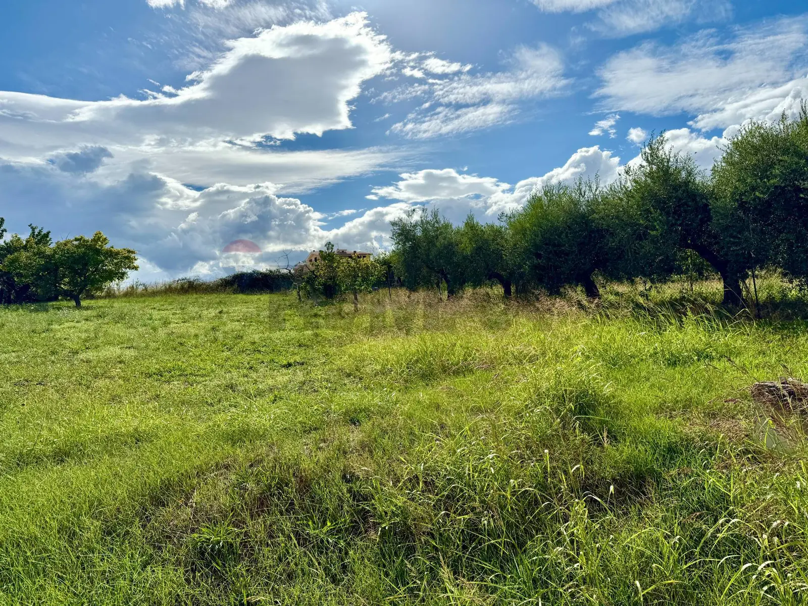 Terreno Edificabile in Vendita a Città Sant'Angelo