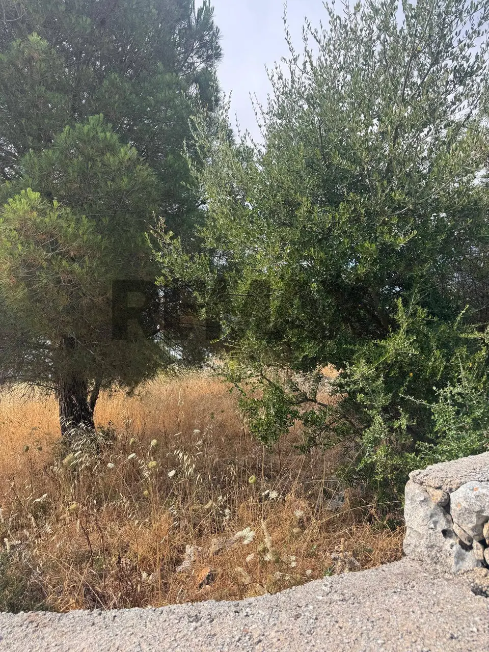 Terreno in Vendita a Melilli